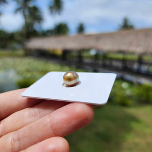 Civa Fiji Loose Saltwater Pearl - FJD$