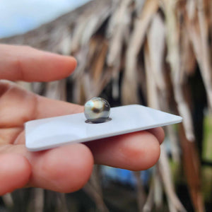 Civa Fiji Loose Saltwater Pearl - FJD$