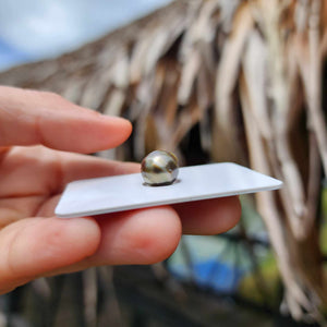 Civa Fiji Loose Saltwater Pearl - FJD$