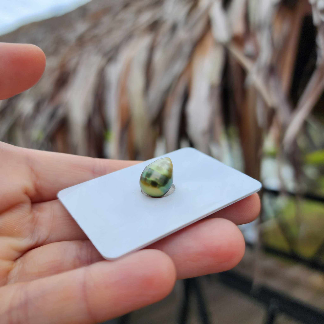 Civa Fiji Loose Saltwater Pearl - FJD$