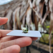 Load image into Gallery viewer, Civa Fiji Loose Saltwater Pearl - FJD$
