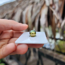 Load image into Gallery viewer, Civa Fiji Loose Saltwater Pearl - FJD$
