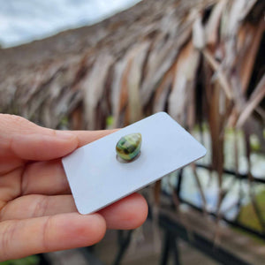Civa Fiji Loose Saltwater Pearl - FJD$