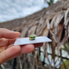 Load image into Gallery viewer, Civa Fiji Loose Saltwater Pearl - FJD$
