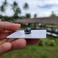 Load image into Gallery viewer, Civa Fiji Loose Saltwater Pearl - FJD$
