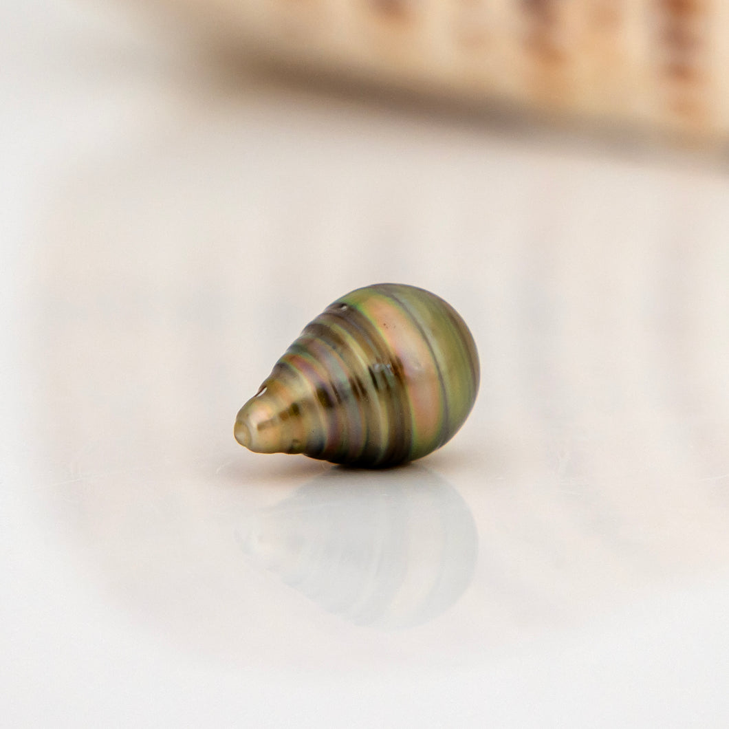 Civa Fiji Loose Saltwater Pearl - FJD$