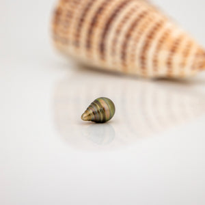 Civa Fiji Loose Saltwater Pearl - FJD$