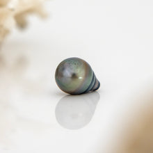 Load image into Gallery viewer, Civa Fiji Loose Saltwater Pearl - FJD$
