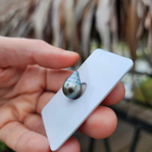 Civa Fiji Loose Saltwater Pearl - FJD$
