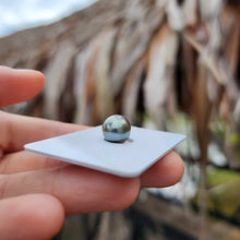 Load image into Gallery viewer, Civa Fiji Loose Saltwater Pearl - FJD$
