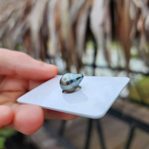 Civa Fiji Loose Saltwater Pearl - FJD$
