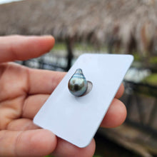 Load image into Gallery viewer, Civa Fiji Loose Saltwater Pearl - FJD$

