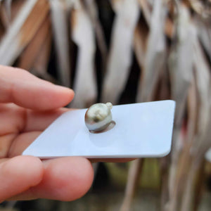 Civa Fiji Loose Saltwater Pearl - FJD$