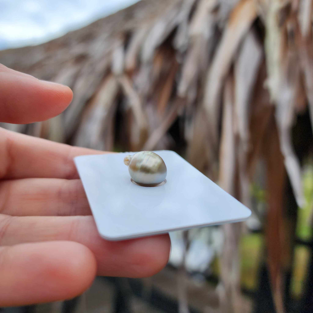 Civa Fiji Loose Saltwater Pearl - FJD$