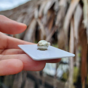 Civa Fiji Loose Saltwater Pearl - FJD$