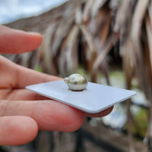 Load image into Gallery viewer, Civa Fiji Loose Saltwater Pearl - FJD$
