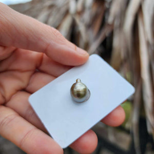 Civa Fiji Loose Saltwater Pearl - FJD$