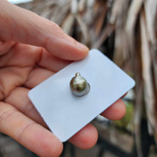 Load image into Gallery viewer, Civa Fiji Loose Saltwater Pearl - FJD$
