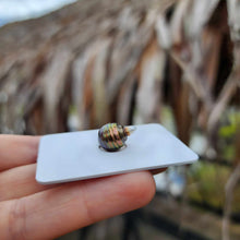 Load image into Gallery viewer, Civa Fiji Loose Saltwater Pearl - FJD$
