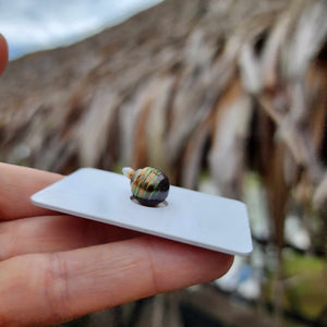 Civa Fiji Loose Saltwater Pearl - FJD$