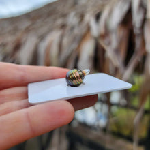 Load image into Gallery viewer, Civa Fiji Loose Saltwater Pearl - FJD$

