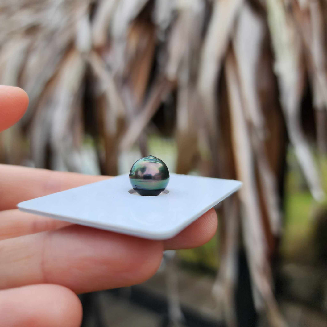 Civa Fiji Loose Saltwater Pearl - FJD$