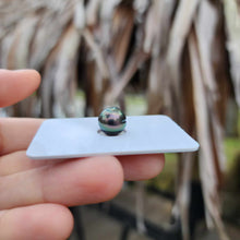 Load image into Gallery viewer, Civa Fiji Loose Saltwater Pearl - FJD$
