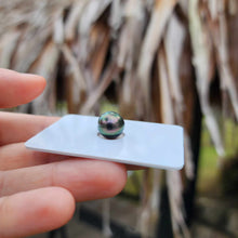 Load image into Gallery viewer, Civa Fiji Loose Saltwater Pearl - FJD$
