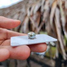 Load image into Gallery viewer, Civa Fiji Loose Saltwater Pearl - FJD$
