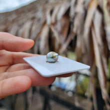Load image into Gallery viewer, Civa Fiji Loose Saltwater Pearl - FJD$
