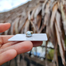 Load image into Gallery viewer, Civa Fiji Loose Saltwater Pearl - FJD$
