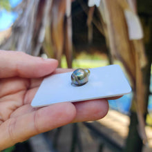 Load image into Gallery viewer, Civa Fiji Loose Saltwater Pearl - FJD$
