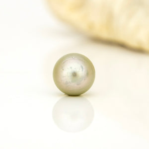 Civa Fiji Loose Saltwater Pearl - FJD$