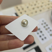 Load image into Gallery viewer, Civa Fiji Loose Saltwater Pearl - FJD$
