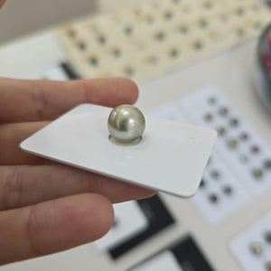 Civa Fiji Loose Saltwater Pearl - FJD$