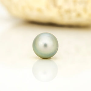 Civa Fiji Loose Saltwater Pearl - FJD$