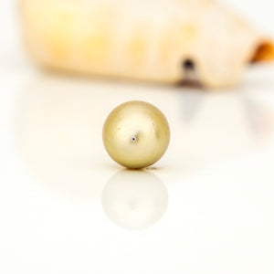 Civa Fiji Loose Saltwater Pearl - FJD$
