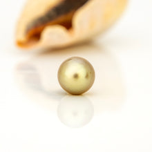 Load image into Gallery viewer, Civa Fiji Loose Saltwater Pearl - FJD$
