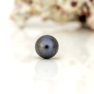 Civa Fiji Loose Saltwater Pearl - FJD$