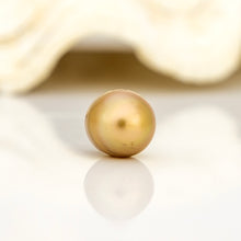 Load image into Gallery viewer, Civa Fiji Loose Saltwater Pearl - FJD$
