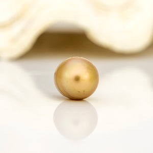 Civa Fiji Loose Saltwater Pearl - FJD$