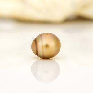 Civa Fiji Loose Saltwater Pearl - FJD$