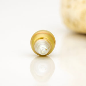 Civa Fiji Loose Saltwater Pearl - FJD$