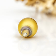 Load image into Gallery viewer, Civa Fiji Loose Saltwater Pearl - FJD$
