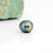 Load image into Gallery viewer, Civa Fiji Loose Saltwater Pearl - FJD$
