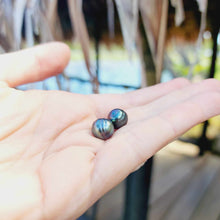 Load image into Gallery viewer, Civa Fiji Loose Saltwater Pearl Pair - FJD$
