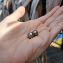 Load image into Gallery viewer, Civa Fiji Loose Saltwater Pearl Pair - FJD$
