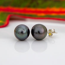 Load image into Gallery viewer, READY TO SHIP Civa Fiji Saltwater Pearl Stud Earrings - 925 Sterling Silver FJD$
