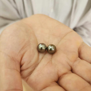 CONTACT US TO RECREATE THIS SOLD OUT STYLE Civa Fiji Graded Pearl Earrings #BO3024 - 14k Solid Gold FJD$