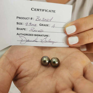 CONTACT US TO RECREATE THIS SOLD OUT STYLE Civa Fiji Graded Pearl Earrings #BO3024 - 14k Solid Gold FJD$